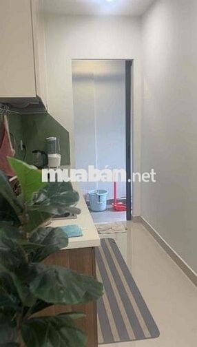 2PN2WC - 11 triệu/tháng - Căn hộ 67m2 đủ nội thất, Q7 Riverside