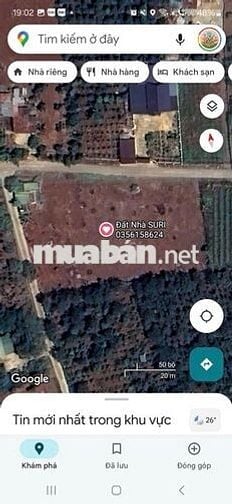 Đất sổ đỏ 400m2 (thổ cư 60m2), là vườn tiêu cũ, Krong Anna