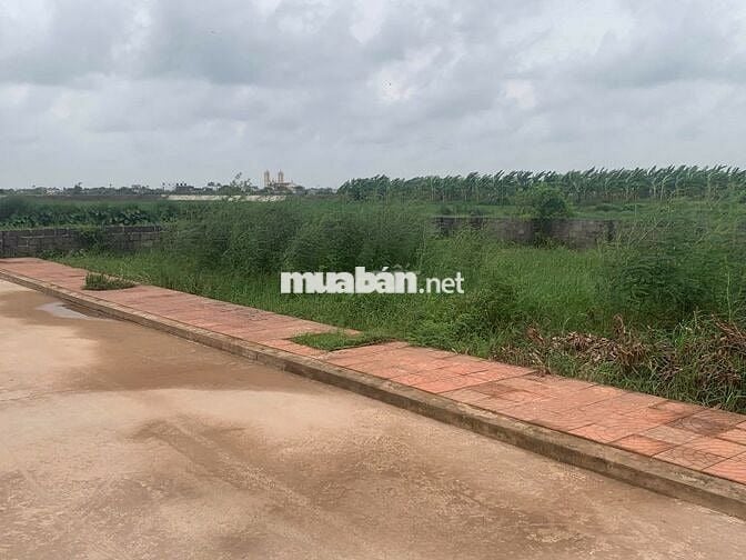 Chính chủ bán 3 lô đất đẹp nhất dự án – Tiền Hải, Thái Bình