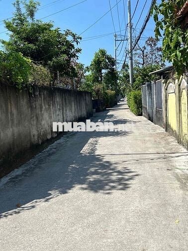 💥ĐẤT ĐẸP AN PHÚ ĐÔNG THÔNG SỐ HOA HẬU 6 X 20 FULL THỔ TƯƠNG LAI 3 MẶT