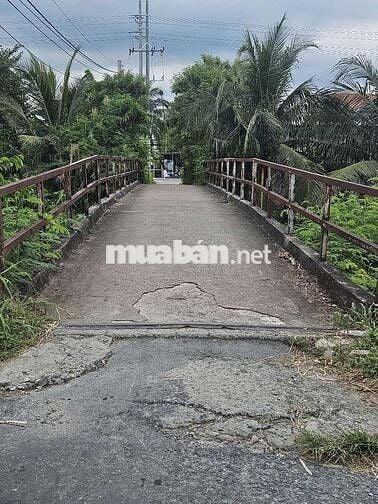 Cắt bán đất chính chủ trả nợ.Tiền Giang ,Gò Công Tây