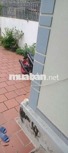 Bạn nào mua ib cho mình nhé