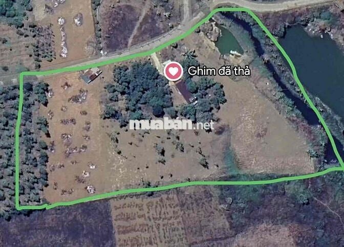 CẦN BÁN 8 SÀO ĐẤT NÔNG NGHIỆP  CÓ NHÀ THỔ CƯ  HỆ THỐNG SUỐI & HỒ RIÊNG