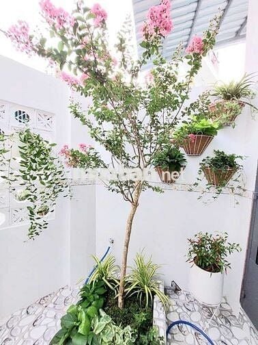 BÁN ĐẤT TẶNG NHÀ KINH DƯƠNG VƯƠNG giá 5,25 TỶ (13×16 = 116m²)