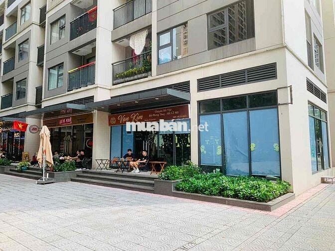 Bán nhanh căn GÓC chân đế S1.10 Ocean Park 1  đang cho thuê 20tr/th