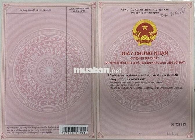 ĐẤT SỔ ĐỎ 75M2 CẦN BÁN GẤP ĐƯỜNG TỈNH LỘ 10 ĐỨC HÒA ĐÔNG, ĐỨC HÒA