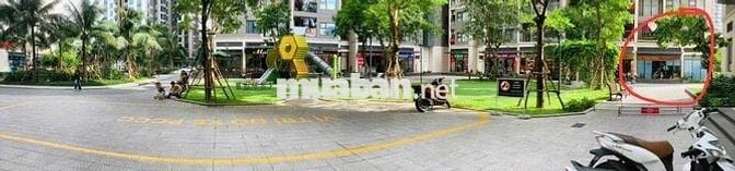 Bán nhanh căn GÓC chân đế S1.10 Ocean Park 1  đang cho thuê 20tr/th