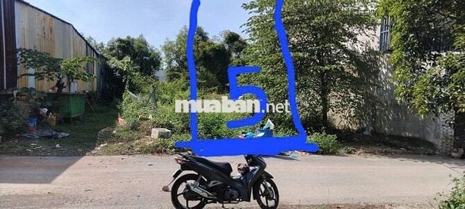 BÁN Lô Đất Full Thổ Cư Tại Xã Hố Nai 3, Huyện Trảng Bom, Tỉnh Đồng Nai