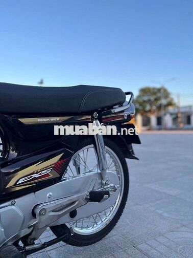 Dream thái bán hoặc giao lưu