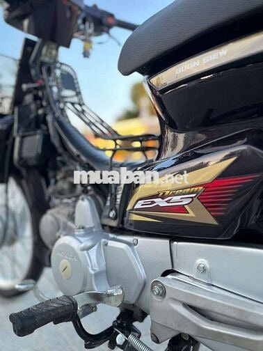 Dream thái bán hoặc giao lưu