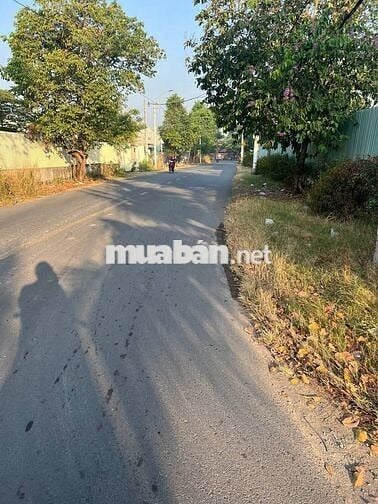 1086m2 thổ cư Hóc Môn đường Võ Thị Đầy gần Đặng Thúc Vịnh