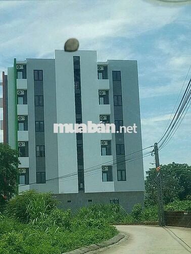 🔥 BÁN GẤP LÔ ĐẤT TRỤC CHÍNH SEN TRÌ – DÒNG TIỀN 30–100TR/THÁNG! 🔥