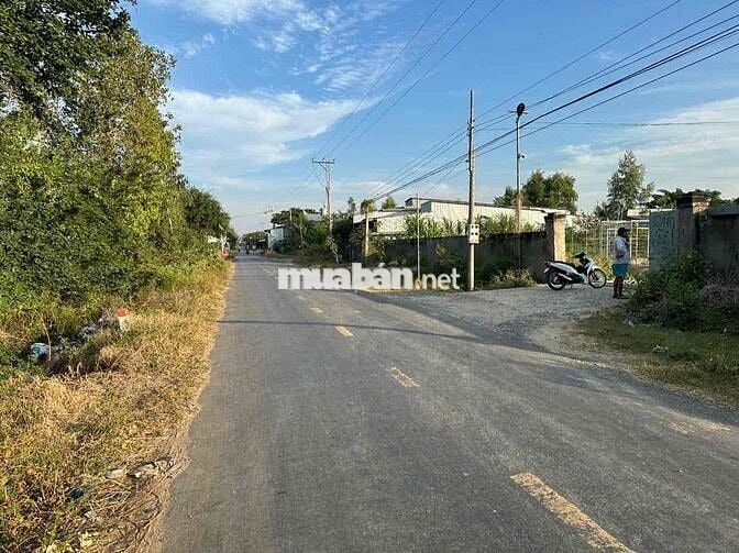 BÁN ĐẤT VƯỜN CÓ SẴN TRANG TRẠI HTX CHĂN NUÔI TRÂU BÒ GẦN CỬA KHẨU BG