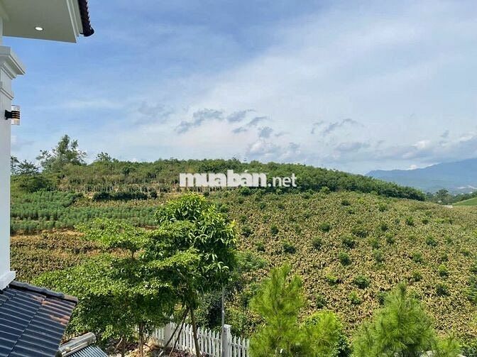 ĐẤT NGHỈ DƯỠNG LƯNG TỰA NÚI, VIEW THOÁNG, 2500M²