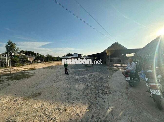 BÁN ĐẤT VƯỜN CÓ SẴN TRANG TRẠI HTX CHĂN NUÔI TRÂU BÒ GẦN CỬA KHẨU BG