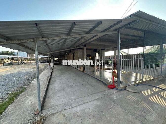 BÁN ĐẤT VƯỜN CÓ SẴN TRANG TRẠI HTX CHĂN NUÔI TRÂU BÒ GẦN CỬA KHẨU BG