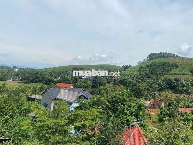 ĐẤT NGHỈ DƯỠNG LƯNG TỰA NÚI, VIEW THOÁNG, 2500M²