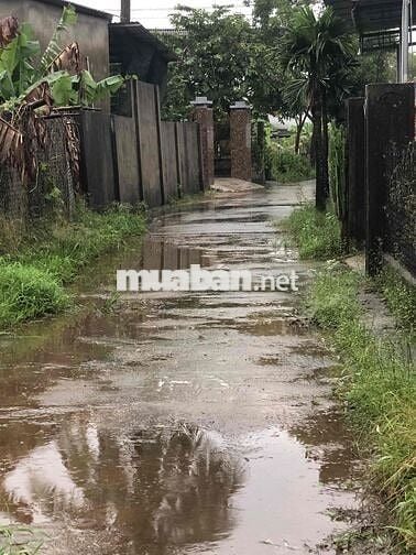 BÁN KHU PHÂN LÔ THỦY PHÙ GIÁ RẺ - CHÍNH CHỦ