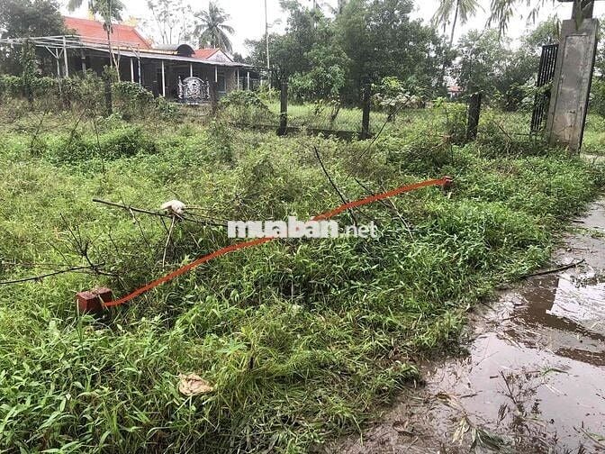 BÁN KHU PHÂN LÔ THỦY PHÙ GIÁ RẺ - CHÍNH CHỦ