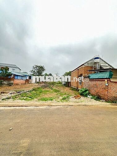 🔥 BÁN GẤP LÔ ĐẤT TRỤC CHÍNH SEN TRÌ – DÒNG TIỀN 30–100TR/THÁNG! 🔥