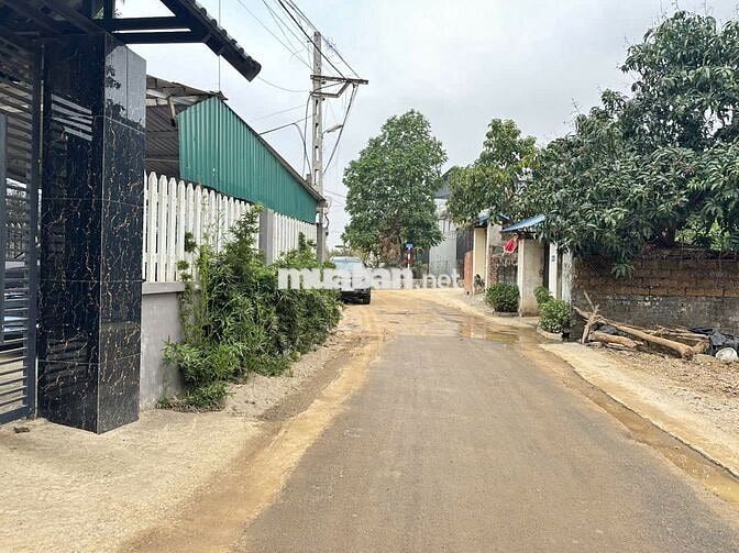 🔥 BÁN GẤP LÔ ĐẤT TRỤC CHÍNH SEN TRÌ – DÒNG TIỀN 30–100TR/THÁNG! 🔥