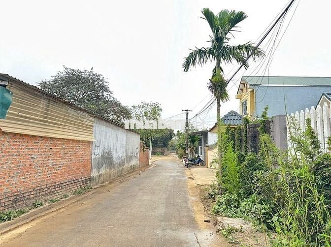 🔥 BÁN GẤP LÔ ĐẤT TRỤC CHÍNH SEN TRÌ – DÒNG TIỀN 30–100TR/THÁNG! 🔥