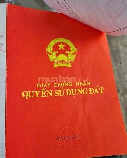 Nhà Cấp 4 Mặt Tiền Đường 14m ra Tô Ký Hóc Môn 4mx24m giá 4.7 tỷ