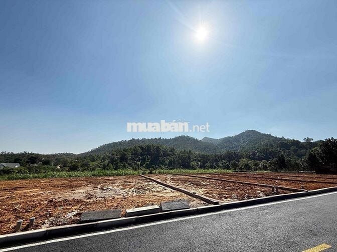 VỠ NỢ NGÂN HÀNG BÁN GẤP 150M FULL THỔ CƯ YÊN BÀI BA VÌ METRO HOÀ LẠC