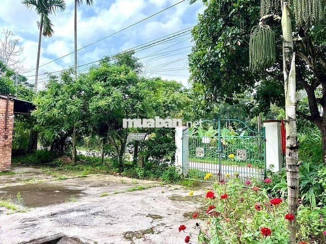 BÁN GẤP NHÀ + ĐẤT MẶT TIỀN 27M ĐƯỜNG NHỰA – TRUNG TÂM XÃ ĐẮK LIÊNG 🏡