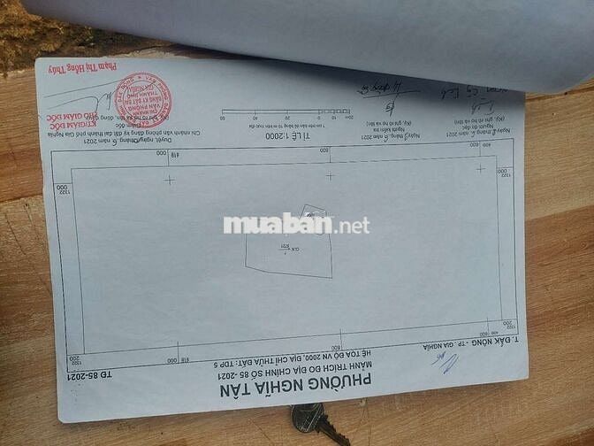 1ha2 đất có 12m mặt đường lê thánh tông phường bắc gia nghĩa giá 4t2