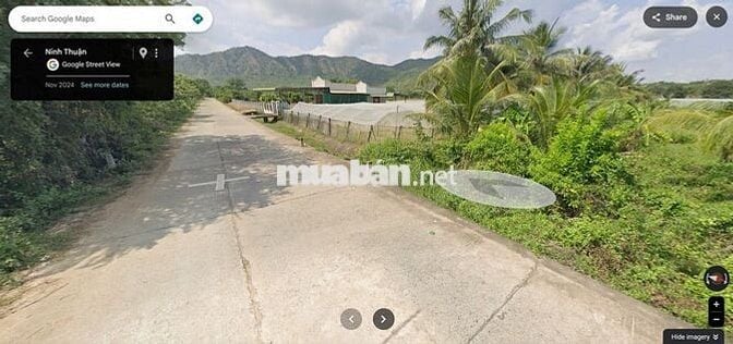 Đất sổ đỏ 4321m2 thôn Liên Sơn 2, xã Phước Vinh (Khánh Hòa)