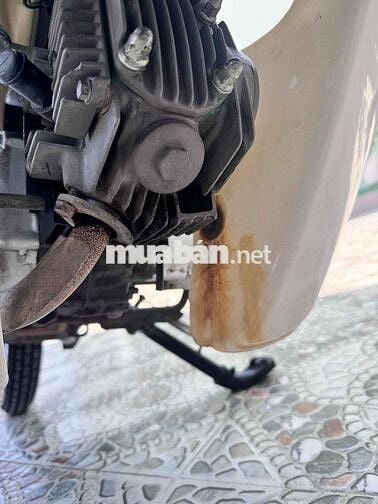 Honda Citi 100 Trắng nâu