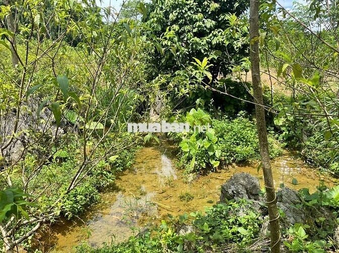 BÁN LÔ ĐẤT VIEW CAO THOÁNG – CÓ SẴN NHÀ SÀN MỚI TẠI KIM BÔI, HÒA BÌNH