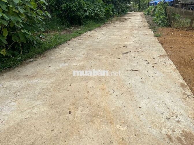 BÁN LÔ ĐẤT VIEW CAO THOÁNG – CÓ SẴN NHÀ SÀN MỚI TẠI KIM BÔI, HÒA BÌNH