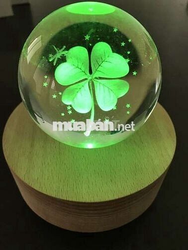 2 con carnival gia đình chạy kỹ