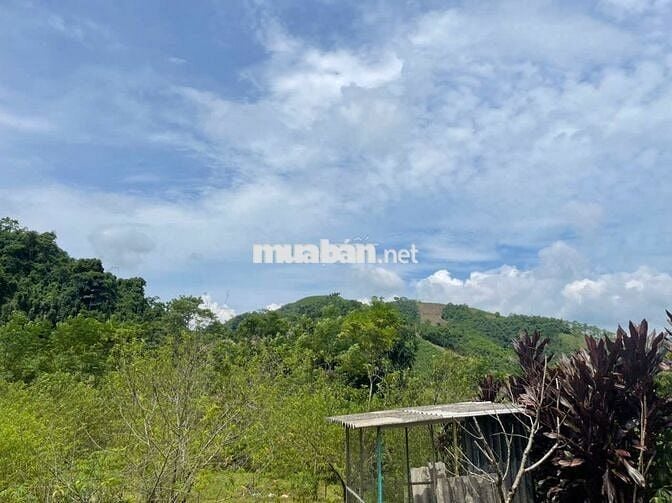 BÁN LÔ ĐẤT VIEW CAO THOÁNG – CÓ SẴN NHÀ SÀN MỚI TẠI KIM BÔI, HÒA BÌNH