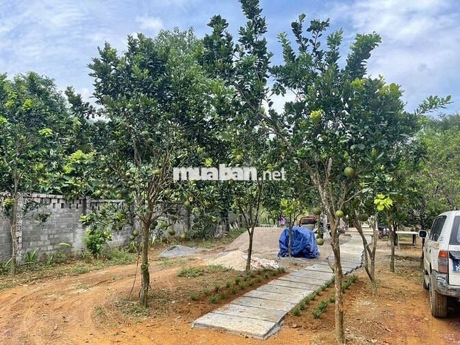 BÁN LÔ ĐẤT VIEW CAO THOÁNG – CÓ SẴN NHÀ SÀN MỚI TẠI KIM BÔI, HÒA BÌNH