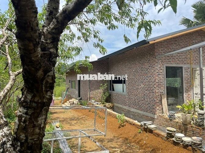 BÁN LÔ ĐẤT VIEW CAO THOÁNG – CÓ SẴN NHÀ SÀN MỚI TẠI KIM BÔI, HÒA BÌNH