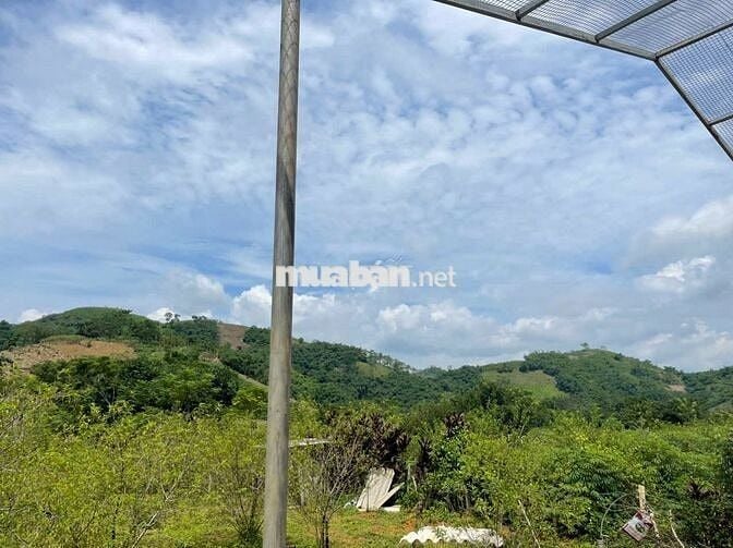 BÁN LÔ ĐẤT VIEW CAO THOÁNG – CÓ SẴN NHÀ SÀN MỚI TẠI KIM BÔI, HÒA BÌNH