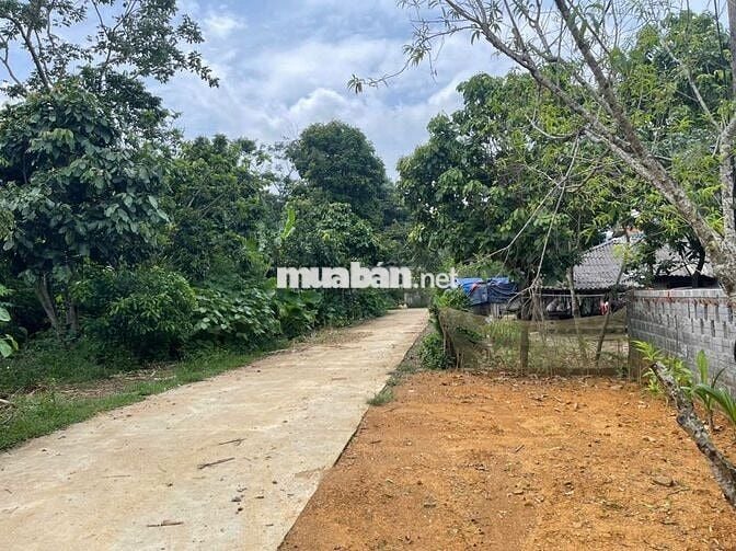 BÁN LÔ ĐẤT VIEW CAO THOÁNG – CÓ SẴN NHÀ SÀN MỚI TẠI KIM BÔI, HÒA BÌNH