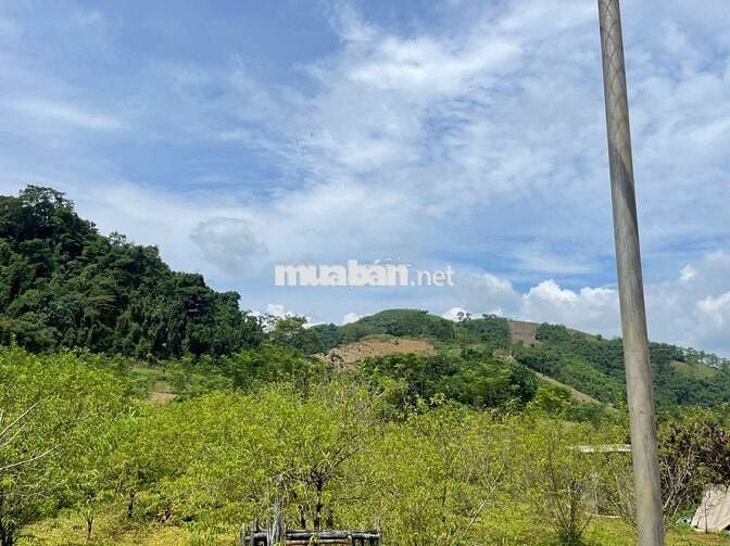 BÁN LÔ ĐẤT VIEW CAO THOÁNG – CÓ SẴN NHÀ SÀN MỚI TẠI KIM BÔI, HÒA BÌNH