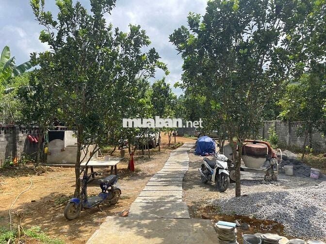 BÁN LÔ ĐẤT VIEW CAO THOÁNG – CÓ SẴN NHÀ SÀN MỚI TẠI KIM BÔI, HÒA BÌNH