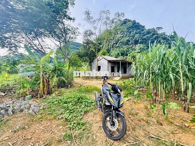 BÁN 1,4HA ĐẤT NGHỈ DƯỠNG CÓ THỔ CƯ TẠI KIM BÔI HOÀ BÌNH SIÊU ĐẸP