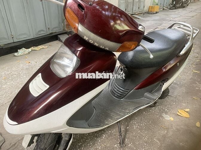 Bán spacy nhật màu nâu