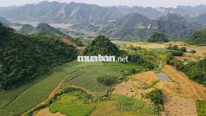 BÁN 1,4HA ĐẤT NGHỈ DƯỠNG CÓ THỔ CƯ TẠI KIM BÔI HOÀ BÌNH SIÊU ĐẸP