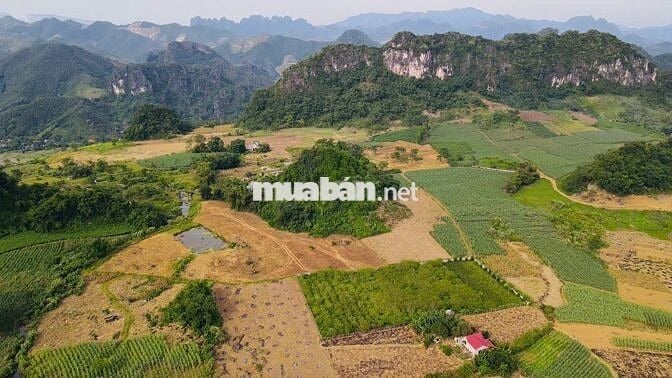 BÁN 1,4HA ĐẤT NGHỈ DƯỠNG CÓ THỔ CƯ TẠI KIM BÔI HOÀ BÌNH SIÊU ĐẸP