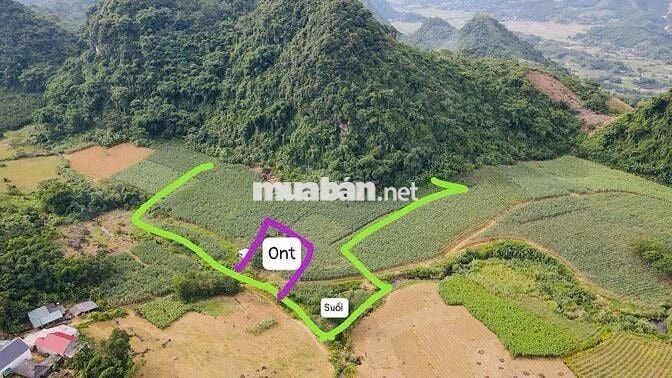 BÁN 1,4HA ĐẤT NGHỈ DƯỠNG CÓ THỔ CƯ TẠI KIM BÔI HOÀ BÌNH SIÊU ĐẸP