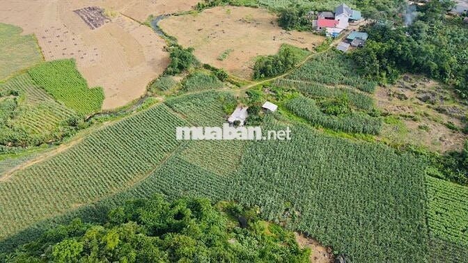 BÁN 1,4HA ĐẤT NGHỈ DƯỠNG CÓ THỔ CƯ TẠI KIM BÔI HOÀ BÌNH SIÊU ĐẸP