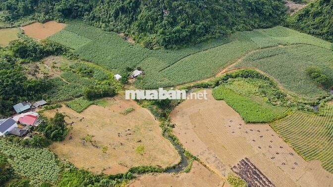 BÁN 1,4HA ĐẤT NGHỈ DƯỠNG CÓ THỔ CƯ TẠI KIM BÔI HOÀ BÌNH SIÊU ĐẸP