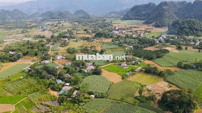 BÁN 1,4HA ĐẤT NGHỈ DƯỠNG CÓ THỔ CƯ TẠI KIM BÔI HOÀ BÌNH SIÊU ĐẸP